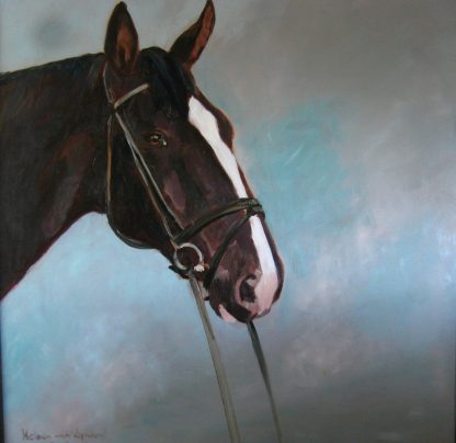 Horsehead, horse, Heleen van Lynden