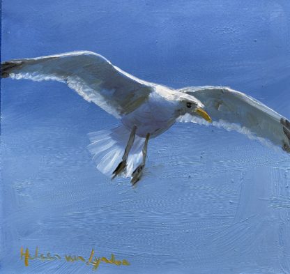 Meeuwen 3-oilpainting-seascape-seagull-bird-seabird-Heleen van Lynden