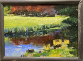 Spanderswoud, bos met spiegeling, kleurig landschap, Heleen van Lynden