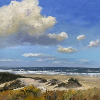 vanuit de duinen -80x80